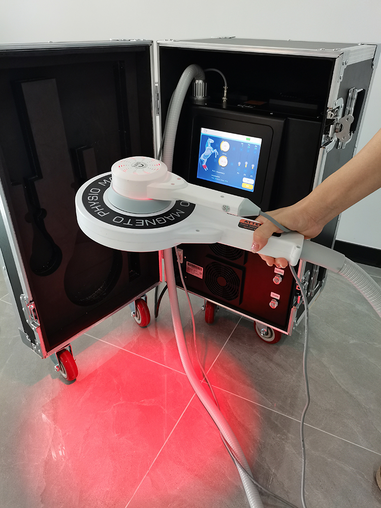 Thérapie magnétique extracorporelle Traitement magnétique pour chevaux Physiothérapie PEMF Appareil de soins pour animaux