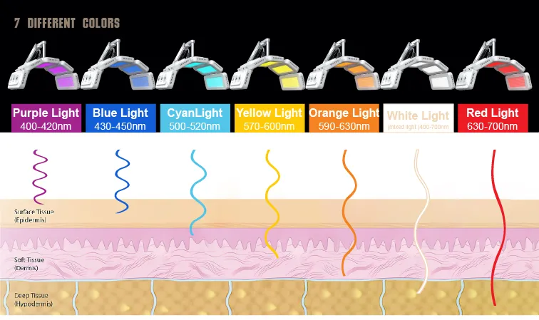Appareil professionnel de luminothérapie LED 7 couleurs pour les soins de beauté et le rajeunissement de la peau
