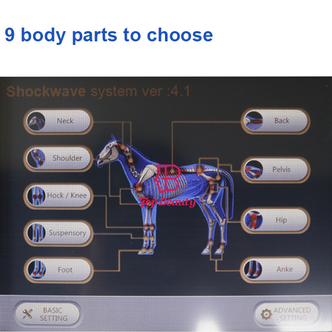 Thérapie équine par ondes de choc Soins de santé pour animaux de compagnie Produits de soins de santé animaux par ondes de choc Machine