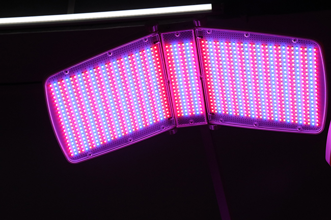 Traitement double plat PDT Photon Light Thérapie faciale 7 Couleurs LED Lumière faciale Thérapie Beauté Appareil