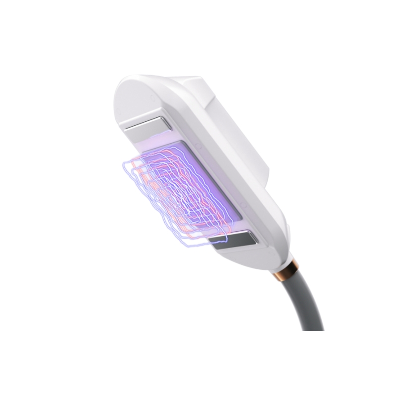 Machine de réduction de graisse DMS par radiofréquence laser avec coussins chauffants