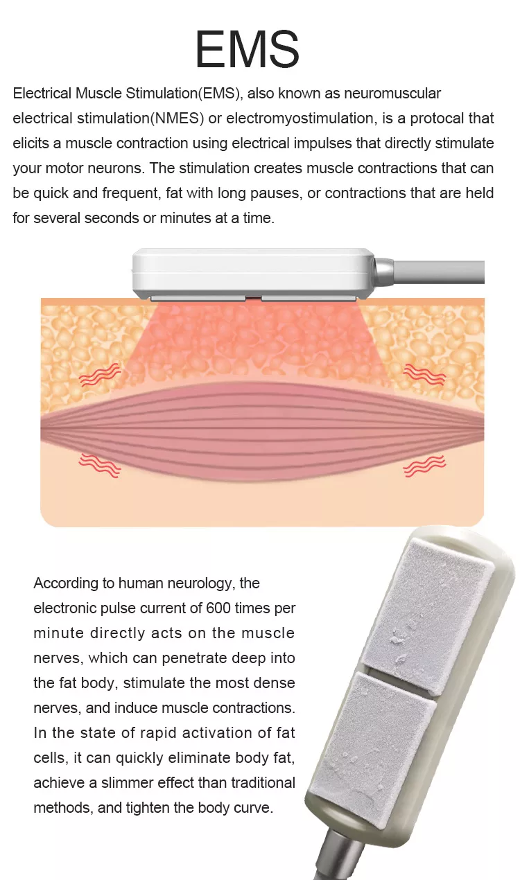 2023 Nouvelle machine EMS de congélation des graisses avec plaques de refroidissement Cryo pour l''amincissement du ventre Cryolipolyse sans douleur