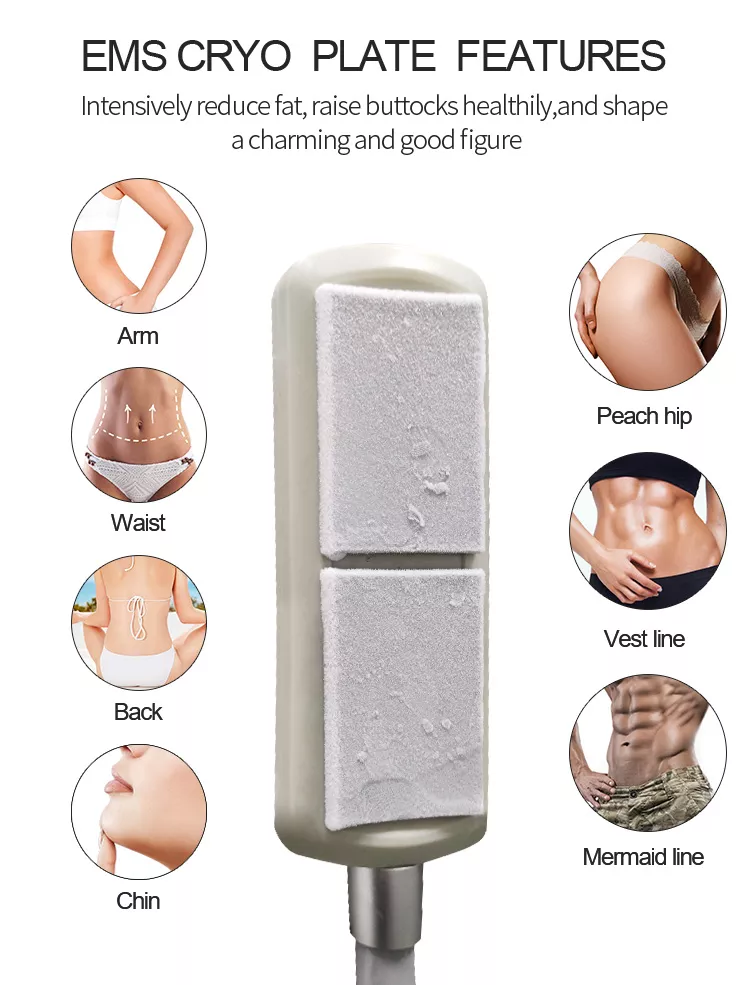 2023 Nouvelle machine EMS de congélation des graisses avec plaques de refroidissement Cryo pour l''amincissement du ventre Cryolipolyse sans douleur