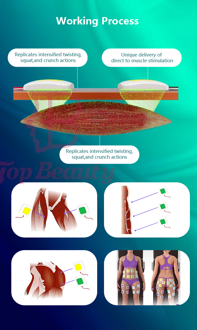 Machine professionnelle de mise en forme du corps par stimulation musculaire électrique Trusculpt ID