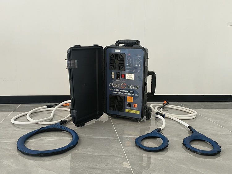 Appareil de thérapie magnétique vétérinaire Pemf Vet Magneto Therapy Plus pour la rééducation physique