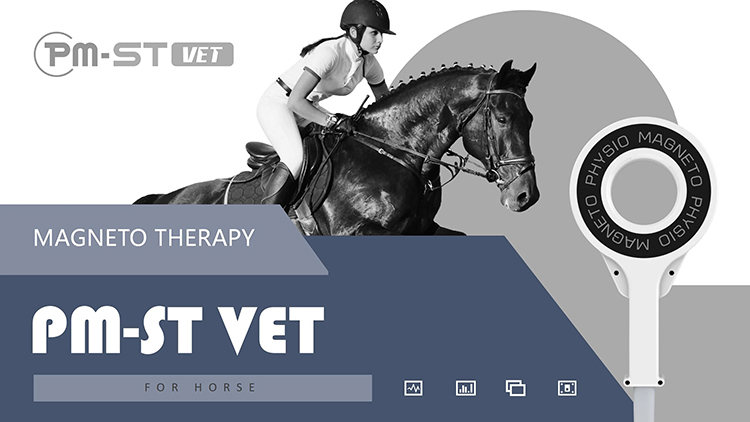 Thérapie magnétique extracorporelle Traitement magnétique pour chevaux Physiothérapie PEMF Appareil de soins pour animaux