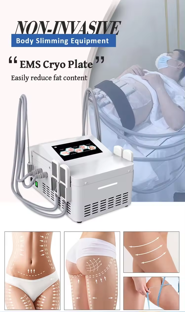 Plaques de refroidissement de thérapie Cryo Ems Électronique Muscle Stimuler le corps Amincissement Sculpture Machine