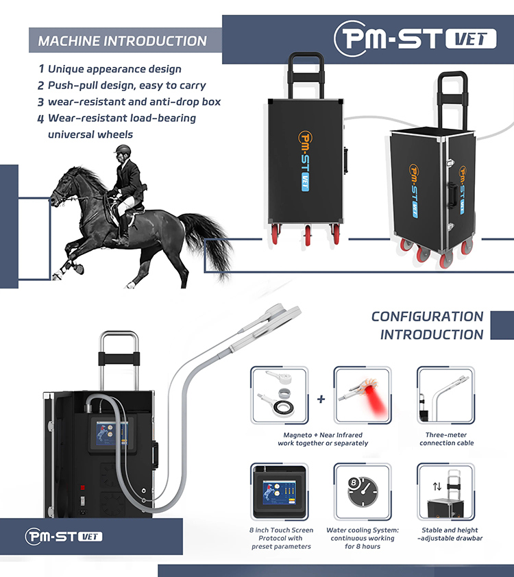 Thérapie magnétique extracorporelle Traitement magnétique pour chevaux Physiothérapie PEMF Appareil de soins pour animaux