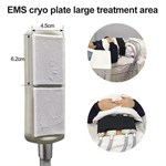 Plaques de refroidissement de thérapie Cryo Ems Électronique Muscle Stimuler le corps Amincissement Sculpture Machine