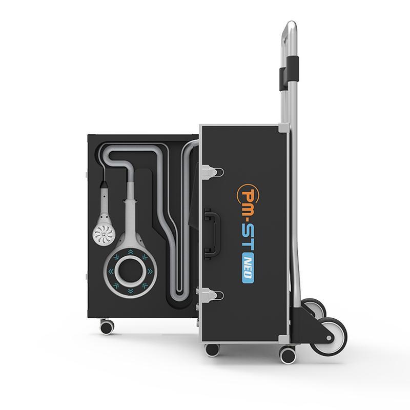 Thérapie magnétique extracorporelle Traitement magnétique pour chevaux Physiothérapie PEMF Appareil de soins pour animaux