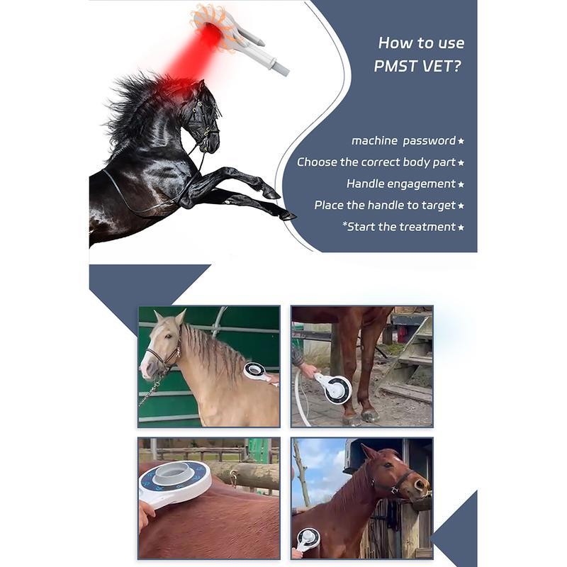Thérapie magnétique extracorporelle Traitement magnétique pour chevaux Physiothérapie PEMF Appareil de soins pour animaux
