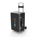 Thérapie magnétique extracorporelle Traitement magnétique pour chevaux Physiothérapie PEMF Appareil de soins pour animaux