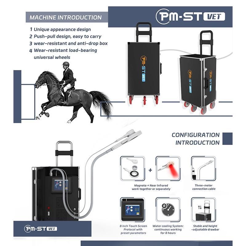 Thérapie magnétique extracorporelle Traitement magnétique pour chevaux Physiothérapie PEMF Appareil de soins pour animaux