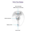 Chaise de formation pour les muscles des hanches EMS pour la réparation des muscles du plancher pelvien en cas d''incontinence urinaire