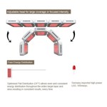 Appareil professionnel de luminothérapie LED 7 couleurs pour les soins de beauté et le rajeunissement de la peau