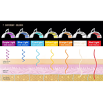 Appareil professionnel de luminothérapie LED 7 couleurs pour les soins de beauté et le rajeunissement de la peau