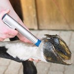 Thérapie équine par ondes de choc Soins de santé pour animaux de compagnie Produits de soins de santé animaux par ondes de choc Machine