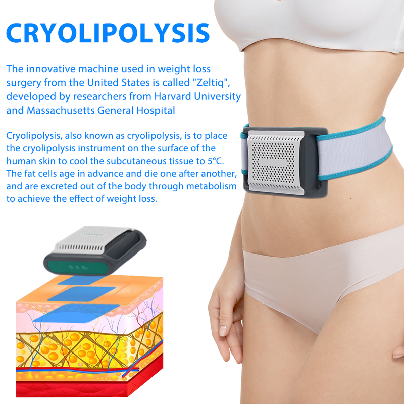 Ventes chaudes d''usine Conception moderne cryo 360 graisse portable slim corps machine cryo pour usage domestique